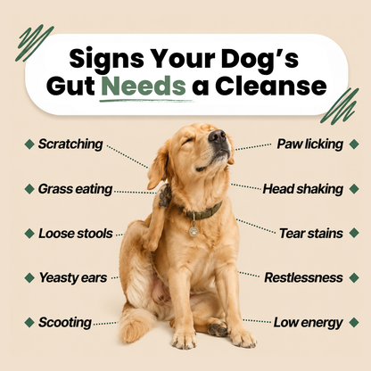 TruliPaws™ - Parasite Cleanse Drops