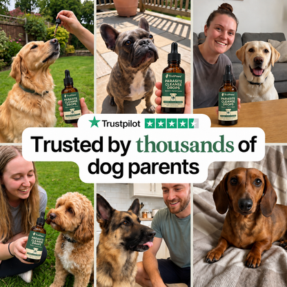 TruliPaws™ - Parasite Cleanse Drops