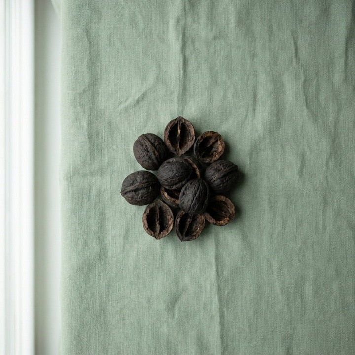 Black Walnut Hull & Wormwood