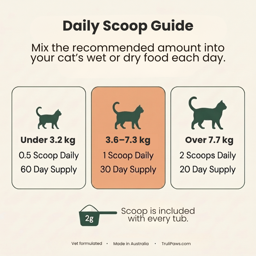 Daily Scoop Guide